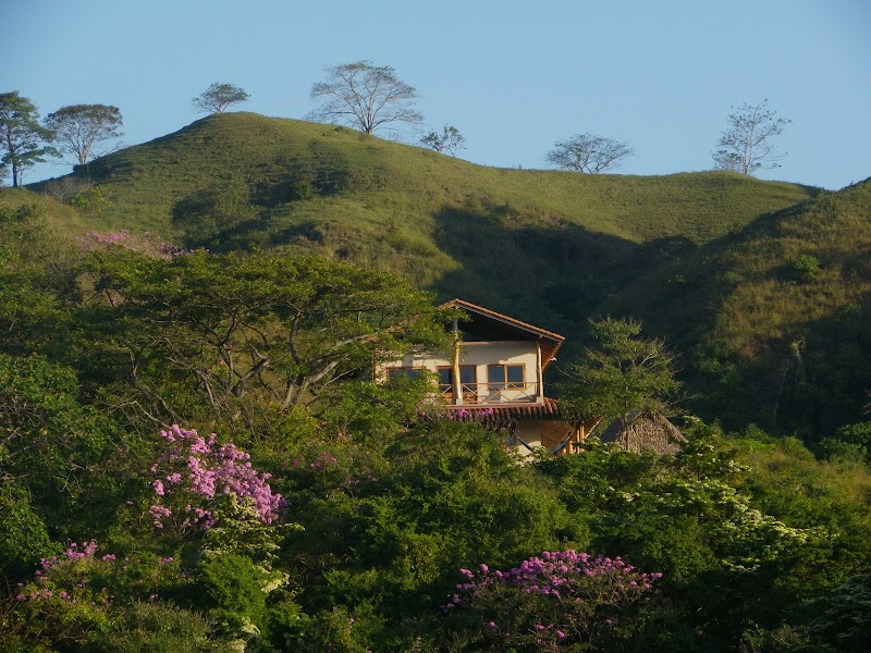 Hotel Kambutaleko — Restaurant restaurant in Playa Cambutal, Panama